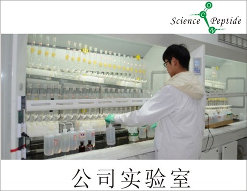 多肽合成厂家/多肽合成质量保证/科肽供