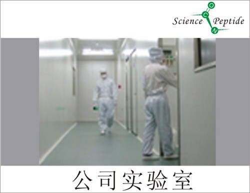 上海多肽企业/科肽供/多肽企业品质值得信赖