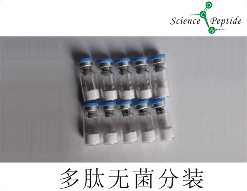 合成多肽的公司/合成多肽采购/科肽供