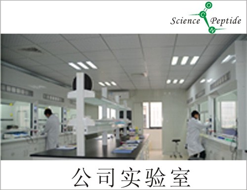 多肽在哪合成/科肽供应/多肽合成供货及时