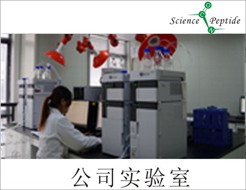 多肽阵列供应商/科肽供应/广州哪里有多肽阵列供应商