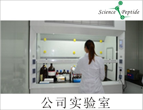 多肽芯片供应商/北京多肽芯片供应商/科肽供