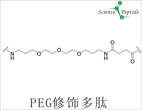 PEG修饰多肽供应商/PEG修饰多肽供货及时/科肽供