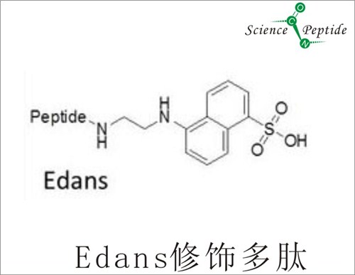 EDANS荧光焠灭修饰多肽/高质量荧光焠灭修饰多肽/科肽供