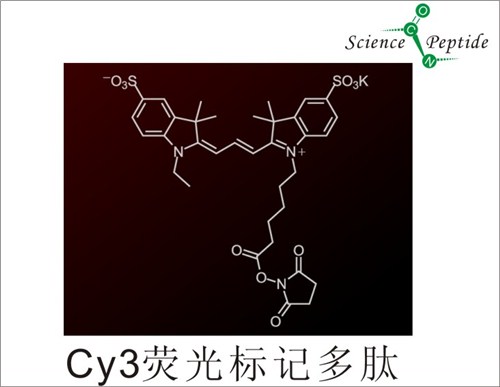 Cy3荧光标记多肽/Cy3荧光标记多肽专业生产/科肽供