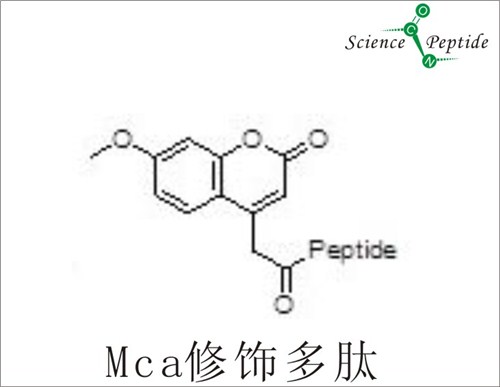 MCA荧光修饰多肽/MCA荧光修饰多肽直销/科肽供