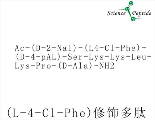 (L-4-Cl-Phe)修饰多肽/科肽供/品牌修饰多肽