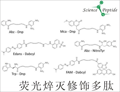 Tyr(3-NO2)荧光焠灭修饰多肽/科肽供应值得信赖