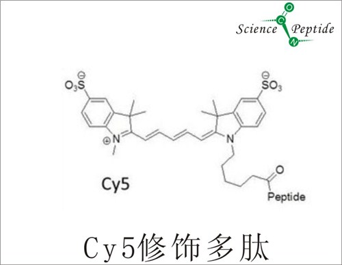 Cy5荧光标记多肽/***Cy5荧光标记多肽/科肽供应