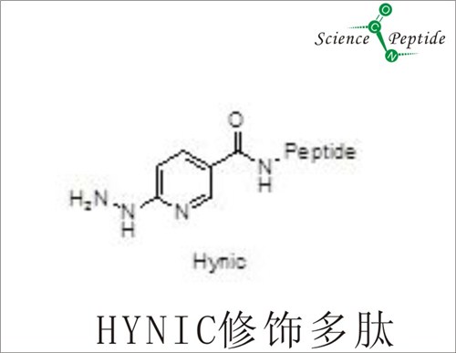 HYNIC荧光修饰多肽/上海科肽专业合成