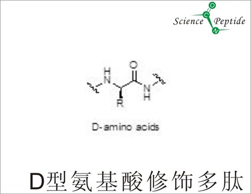 D型氨基酸修饰多肽厂家/上海科肽专业
