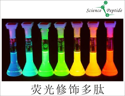 荧光标记多肽厂家/荧光标记多肽生产商/科肽供