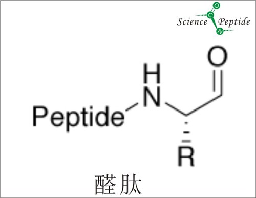 醛肽生产厂家/科肽供/醛肽品牌口碑好/醛肽质量保证